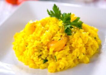 Safran Risotto mit Champignon